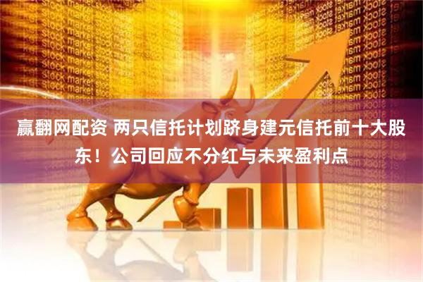 赢翻网配资 两只信托计划跻身建元信托前十大股东！公司回应不分红与未来盈利点