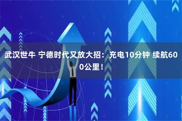 武汉世牛 宁德时代又放大招：充电10分钟 续航600公里！